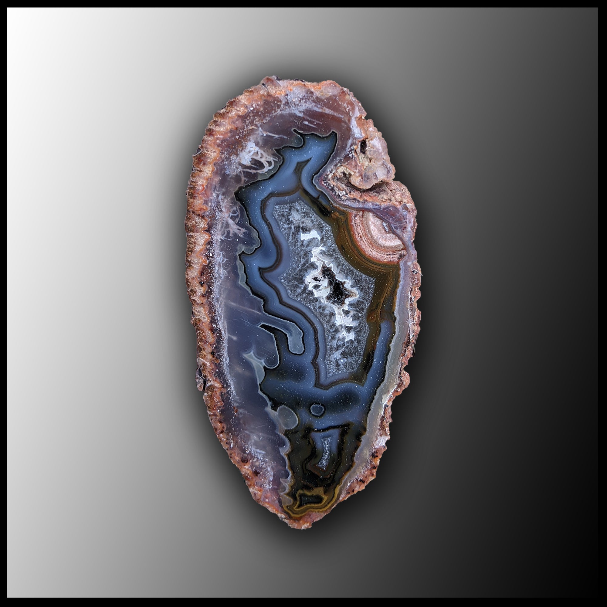 標本 Very Rare Mecosarthron buphagus 65mm MRC185JR Moroccan Agate Specimen| The Gem Shop, Inc.
