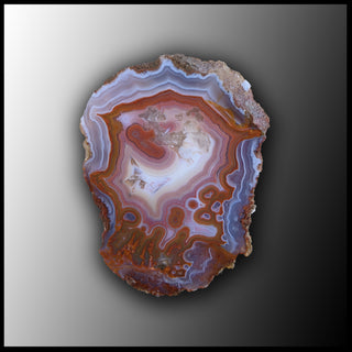 MRC186JR Moroccan Agate Specimen