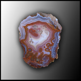 MRC186JR Moroccan Agate Specimen