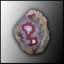 MRC190JR Moroccan Agate Specimen