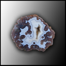 MRC191JR Moroccan Agate Specimen