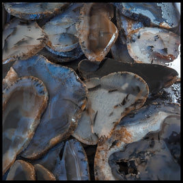 Montana Moss Agate Slabs - 1 lb lot