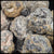 Trancas Geodes, 10 lb lot