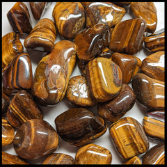 Tigereye, Gold, Tumbled Stone, 1 lb lot