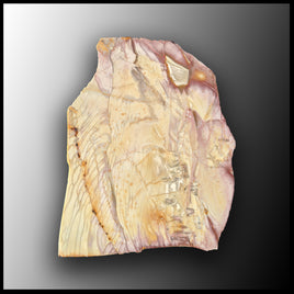 WIC109 Willow Creek Jasper Slab
