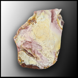 WIC112 Willow Creek Jasper Slab