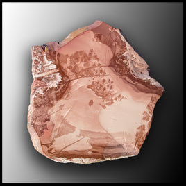 WIC115 Willow Creek Jasper Slab