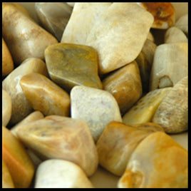 Agatized Coral, Tumbled Stone, Individual