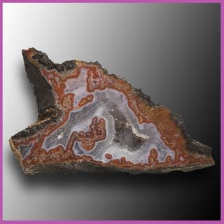 AGN433 Agua Nueva Agate Specimen