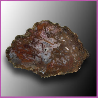 AGN443 Agua Nueva Agate Specimen
