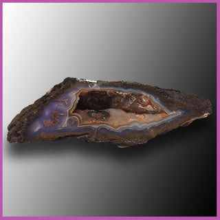 AGN447 Agua Nueva Agate Specimen