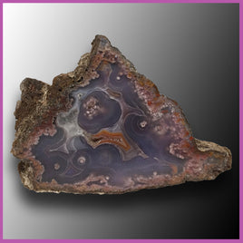 AGN460 Agua Nueva Agate Specimen