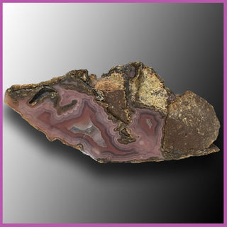 AGN461 Agua Nueva Agate Specimen