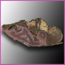 AGN461 Agua Nueva Agate Specimen