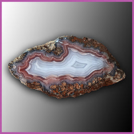 AGN483 Agua Nueva Agate Specimen