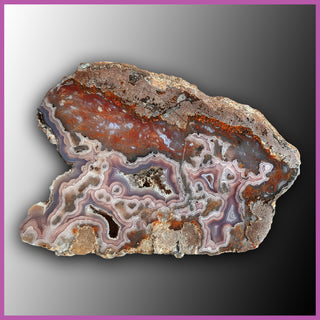 AGN486 Agua Nueva Agate Specimen