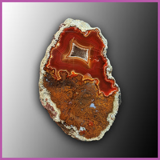 AGN488 Agua Nueva Agate Specimen