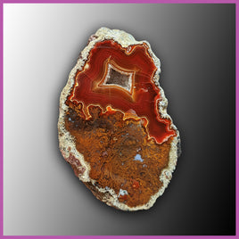 AGN488 Agua Nueva Agate Specimen
