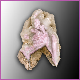 AGN491 Agua Nueva Agate Specimen