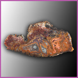 AGN505 Agua Nueva Agate Specimen