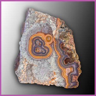 AGN509 Agua Nueva Agate Specimen