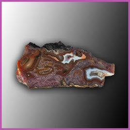 AGN512 Agua Nueva Agate Specimen