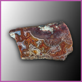 AGN513 Agua Nueva Agate Specimen