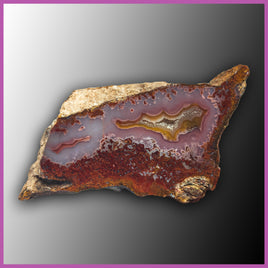 AGN514 Agua Nueva Agate Specimen