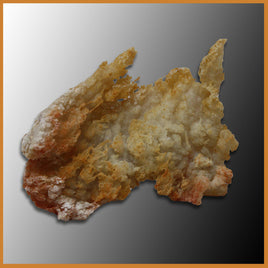 ANW123 Angelwing Chalcedony Specimen