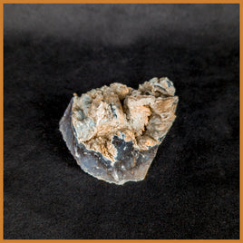 ANW156 Angelwing Chalcedony Specimen
