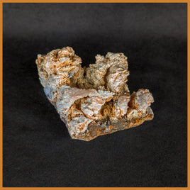ANW172 Angelwing Chalcedony Specimen