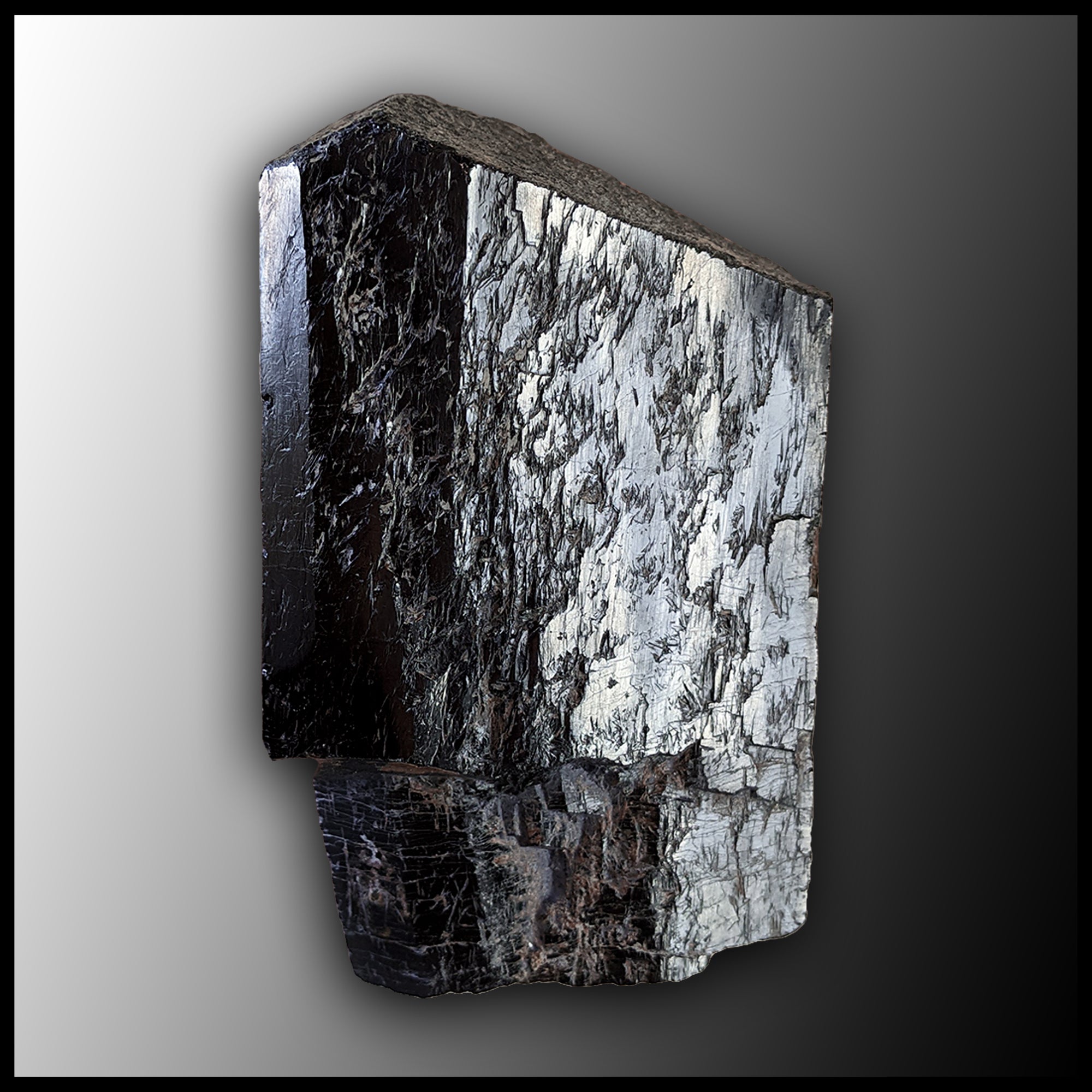BLT197 Black Tourmaline| The Gem Shop, Inc.