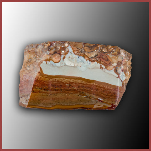 BMP106 Blue Mustang Picture Jasper Specimen
