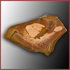 BMP107 Blue Mustang Picture Jasper Specimen