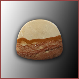BMP138c Blue Mustang Picture Jasper Cabochon