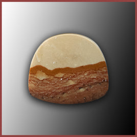 BMP138c Blue Mustang Picture Jasper Cabochon