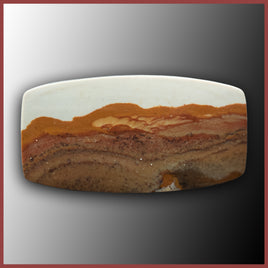 BMP139c Blue Mustang Picture Jasper Cabochon