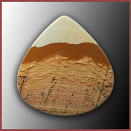 BMP143c Blue Mustang Picture Jasper Cabochon