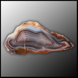 BOT298 Botswana Agate Specimen