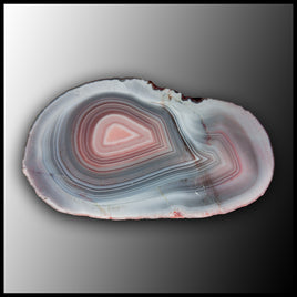 BOT330 Pink Botswana Agate Specimen