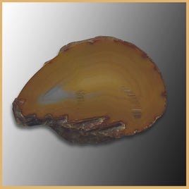 BRA148 Brazilian Agate Specimen