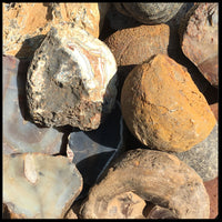 Brazilian Agate, Large, Rough Rock, per lb