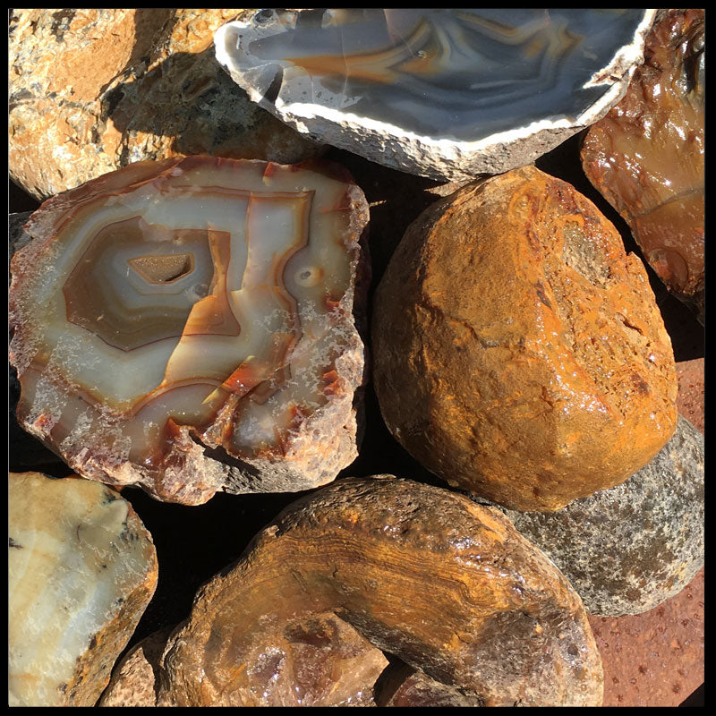 Identifying Agate Rocks Rough Rough Agate