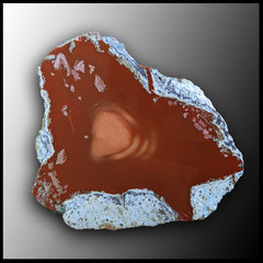 BRU146 Bruneau Jasper Specimen