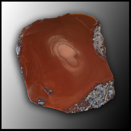 BRU124 Bruneau Jasper Specimen