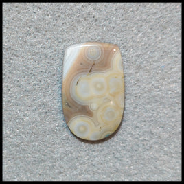 CL174c Ocean Jasper® Cabochon