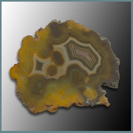 CON149 Condor Agate Specimen Slab