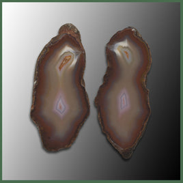 COY343pr Coyamito Agate Specimen