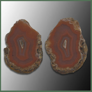 COY345pr Coyamito Agate Specimen