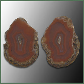 COY345pr Coyamito Agate Specimen